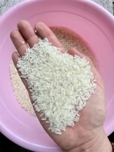 Riz Jasmin du Vietnam à teneur contrôlée en résidus, 5% de brisures, à grains longs, riz blanc parfumé de qualité supérieure, testé en laboratoire selon les normes MRL strictes de l'UE, export ANNA DO - Product Image 4