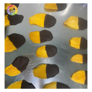 <b>Chocolate</b> Mango <b>Treat</b> Soft Dried Mango Slices Sweet Flavor for Retail Market, Tropical Fruit Mango Dipped Dark <b>Chocolate</b> - Product Image 3
