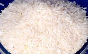 Arroz Basmati Sona Masoori Indio Seco, 1% de Grano Partido, Textura Suave, Calidad Premium, Envasado al Vacío - Product Image 6