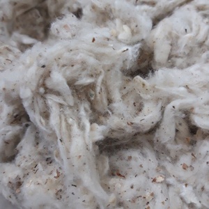 Chất Liệu Cotton Lickerin Tốt Nhất Từ Nhà Sản Xuất Máy Kéo Sợi Tại Việt Nam Trong Bale _ Ms. Min - Product Image 4