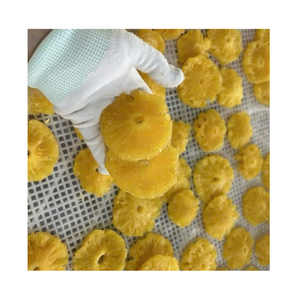 Ananas séché en tranches, fruit tropical sucré, emballage en vrac de qualité supérieure, 99GD Emma, emballage sous vide, stockage à froid et à sec, 18 mois - Product Image 1