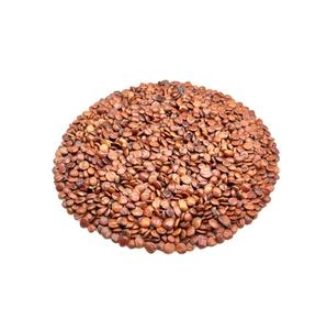 <span class=keywords><strong>Suan</strong></span> <span class=keywords><strong>zao</strong></span> <span class=keywords><strong>ren</strong></span> 100% Nature Fruits Secs Pierre Séchée Spina Date Graine Pour Tisane - Product Image 5