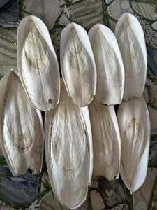 Seiche séchée entière 20-40cm, riche en protéines, fruits de mer en vrac, emballage en sac, 1ère qualité, origine Vietnam Ba Ria-Vung Tau, riches en vitamines, durée de conservation 2 ans - Product Image 4