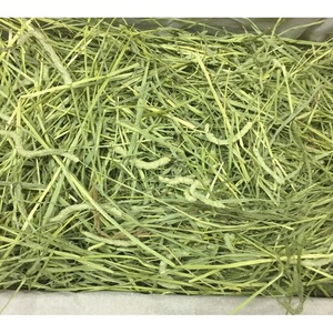 Top Quality alfalfa hay/Timothy Alfalfa Hay/ Cheap Alfalfa Hay <b>for</b> Animal Feeding <b>Stuff</b> alfalfa-hay- - Product Image 2