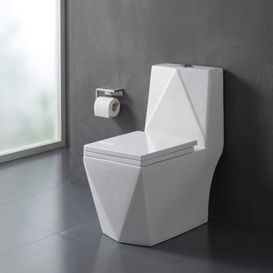WC monobloc en céramique blanc à double chasse Vistaar Brand Wholesale NOM Standard - Product Image 6