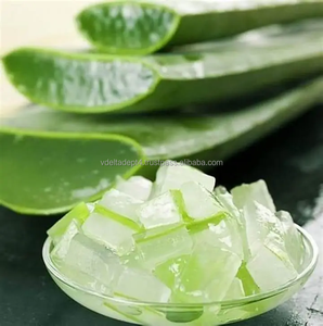 ว่านหางจระเข้สดธรรมชาติแบบชิ้น ไขมันต่ำ สีเขียว 10 กก. จากเวียดนาม สำหรับส่งออก - Product Image 4
