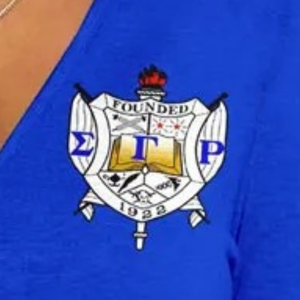 T-shirt rayé ajusté pour sororité, personnalisé, à manches courtes, décontracté, style streetwear, avec imprimé universitaire, OEM ODM - Product Image 4
