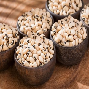 Haricots noirs frais pour la cuisine quotidienne, aux grains uniformes, excellente texture et qualité fiable à un prix compétitif sur le marché. - Product Image 2