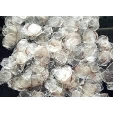 เกล็ดปลาที่ทำความสะอาดและอบแห้งแล้ว ปริมาณมาก จัดส่งโดยตรงจากโรงงาน - Product Image 4