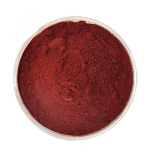 Extrait d'astaxanthine de qualité supérieure 2% Poudre antioxydante naturelle pour les formulations nutraceutiques, compléments alimentaires et bien-être - Product Image 3