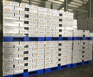 เครื่องดื่มให้พลังงานแบบไม่มีน้ำตาล ตราเรดไทเกอร์ แคปเทน ผลิตตามสั่ง รับผลิตแบบ ODM OEM ในเวียดนาม - Product Image 6