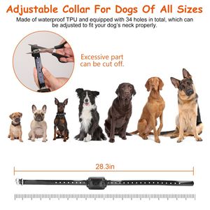 Sistema di Recinzione per Cani Impermeabile IPX7 con Ricevitore Ricaricabile, 100 Livelli Regolabili, per Addestramento e Contenimento Animali Domestici - Product Image 6