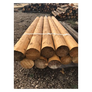 Madera de Troncos de Primera Calidad para Construcción, Fabricación de Muebles y Aplicaciones Industriales de Procesamiento de Madera - Product Image 5