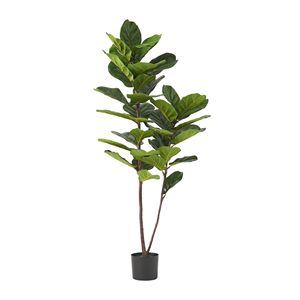 Albero Artificiale di Ficus Lyrata da 59 Pollici - Product Image 2