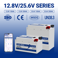 Batterie LiFePO4 25,6 V 100 Ah à coque en fer, remplacement direct de la batterie au plomb, installation facile pour camping-car et panneaux solaires