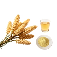 Boisson santé 6 en 1, mélange de poudre d'extraits de champignons avec matcha et pollen de pin