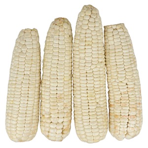 Maíz Blanco de la Más Alta Calidad para Consumo Humano y Alimentación Global - Venta al por Mayor, Exportación, Suministro a Granel, Grano Natural - Product Image 4