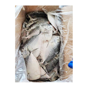 ปลาทะเลแช่แข็งคุณภาพพรีเมียม ขายส่งจำนวนมาก พร้อมจัดส่ง เกรดอาหาร สำหรับส่งออก - Product Image 3