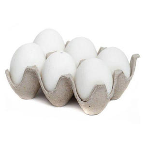 Proveedor de Huevos Frescos de Gallina Blanca al por Mayor, Exportador de Huevos de Aves Naturales para Mercados y Compradores Internacionales de Alimentos - Product Image 6