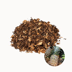 Fournisseur Vietnamien : Écorces d'ananas séchées de qualité supérieure pour l'alimentation animale, prix de gros, approvisionnement en vrac - Product Image 1