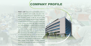 ถุงมือพลาสติกใช้ในครัวเรือนแบบใช้แล้วทิ้งทำจากเวียดนาม - Product Image 6