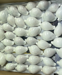 เปลือกหอยขาวขัดเงาธรรมชาติ จำหน่ายส่งจำนวนมาก สำหรับงานฝีมือเครื่องประดับและของตกแต่งชายหาด - Product Image 5