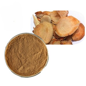 Extracto de Raíz de Tongkat Ali 10:1 en Polvo, Extracto de Eurycoma Longifolia de Alta Calidad para Energía y Resistencia - Product Image 1