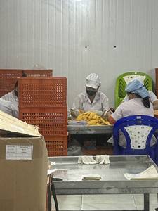 Frutos secos de mango Kaew de alta calidad orgánicos de Viet Nam listos para enviar, precio de fábrica al por mayor - Product Image 2