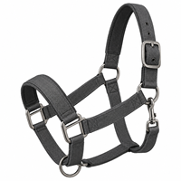 Harnais classique en cuir pour chevaux de course d'endurance, pour l'écurie et l'entraînement, avec logo personnalisé