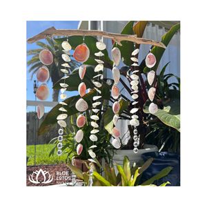 AVAILABLE Eco Friendly Seashell Handicrafts | Sustainable Natural Shell Products Export - Product Image 1