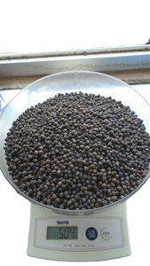 Pimienta Negra Cruda AD Seca de Primera Calidad, Vietnam Lam Dong, Certificación BRC ISO, Marca Phalco, 1000 kg, 24 Meses, Precio de Fábrica - Product Image 4