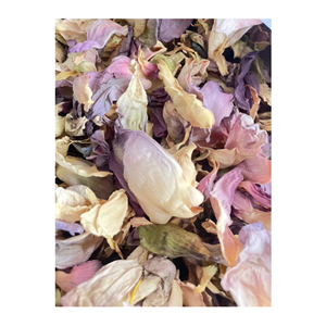 Thé en Sachet de Fleurs de Lotus Séchées pour la Santé, Matériel de Lotus Raffiné, Durée de Conservation de 24 Mois, Aromathérapie, Présentation Artistique - Product Image 2