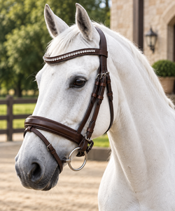 Proveedor de bridas de cuero para caballos de primera calidad para compradores mayoristas internacionales de Divine International - Product Image 1