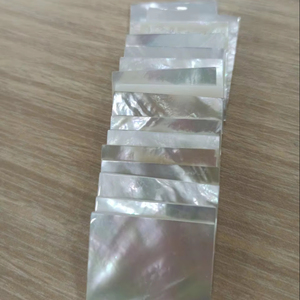 Éclats de nacre polie pour l'artisanat et la production d'ornements - Product Image 1