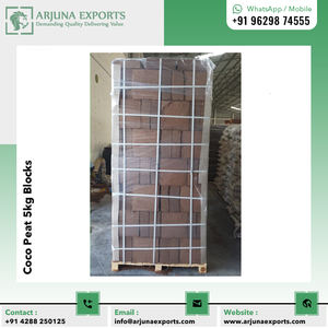 Exportador de confianza de turba de coco o hueso de coco Bloque de 5kg para cultivo sin suelo y plantación de fresas - Product Image 4