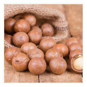 Nueces de macadamia de calidad alimentaria, la mejor calidad, baratas, en venta - Product Image 5