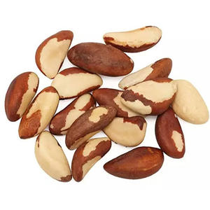 Fournisseur en gros de noix du Brésil à vendre à prix avantageux - Product Image 5