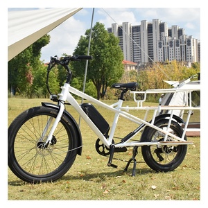 RaiderWagon-602s <span class=keywords><strong>750W</strong></span> 48v 20AH Vélo électrique à gros pneus à batterie Vélos cargo à queue longue Vélo électrique de ville pour les familles - Product Image 1