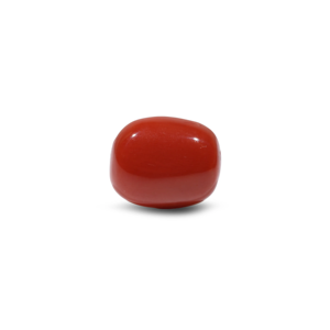 Natural Red Coral Oval Cabochon Loose Gemstone 8.45 Carat Certified Wholesale - Product Image 1