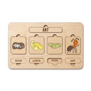 Puzzle in <span class=keywords><strong>Legno</strong></span> del Ciclo di Vita delle Formiche, Artigianato Fatto a Mano con Fasi di Uova, Larve, Pupae e Adulti <span class=keywords><strong>per</strong></span> Bambini - Product Image 4