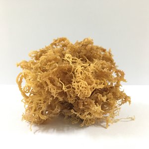 Natural Vegan Food Eucheuma Cottonii/Irish <b>Moss</b> White Sea <b>Moss</b> Purple Sea <b>Moss</b> From Vietnam/ Lima - Product Image 2