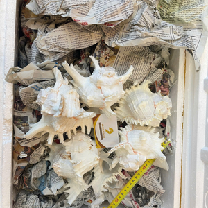 จานไข่มุกสีเหลืองเวียดนาม ทนทาน สำหรับเสิร์ฟของว่างรสจัดจ้าน และรักษาความสดใหม่สไตล์ครัวเรือน โดย 99 โกลด์ ดาต้า - Product Image 3