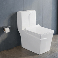 WC monobloc en céramique blanche standard NOM, chasse d'eau double, en porcelaine vitreuse, facile à nettoyer