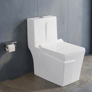 WC monobloc en céramique blanc à double chasse Vistaar Brand Wholesale NOM Standard - Product Image 5
