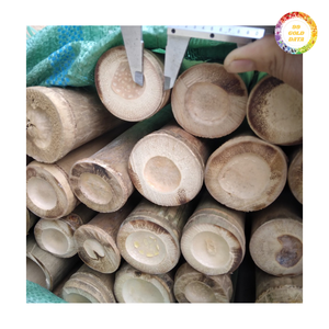 Bâtons de bambou polyvalents pour les projets de jardinage, la décoration intérieure et la construction, offrant une esthétique naturelle. - Product Image 6