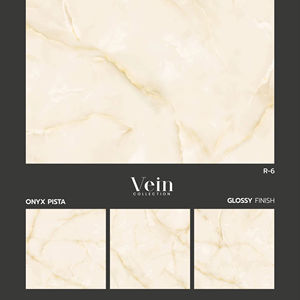 Venta Directa de Azulejos para Piso Exterior de Porcelana Brillante Antibacterianos con Aislamiento Térmico, Diseño Moderno de Alta Calidad, 60x60cm, Antideslizantes - Product Image 1