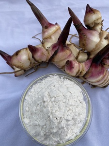 Farine de manioc vietnamienne authentique de qualité supérieure, facile à utiliser, parfaite pour épaissir et cuire - Product Image 2