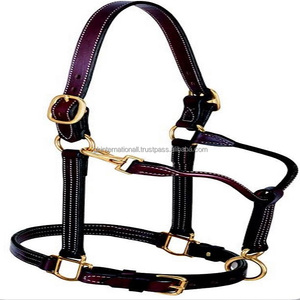 Fabriqué en Inde noir et havane marron anglais licou de cheval en cuir avec rembourrage doux et coutures durables raccords en laiton robustes - Product Image 1