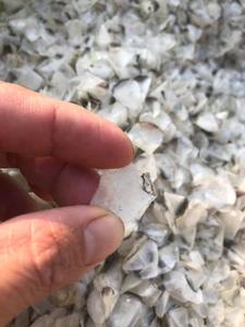 Écailles de poisson VDELTA du Vietnam – Écailles de Tilapia décalcifiées et blanchies à l'oxygène – Meilleur prix / John - Product Image 2
