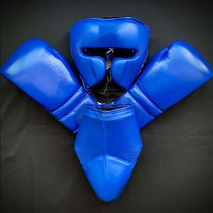 Ensemble d'entraînement de boxe : Gants, protège-tête, protège-glandes, équipement de sparring pour MMA, Kickboxing, Muay Thai - Product Image 4